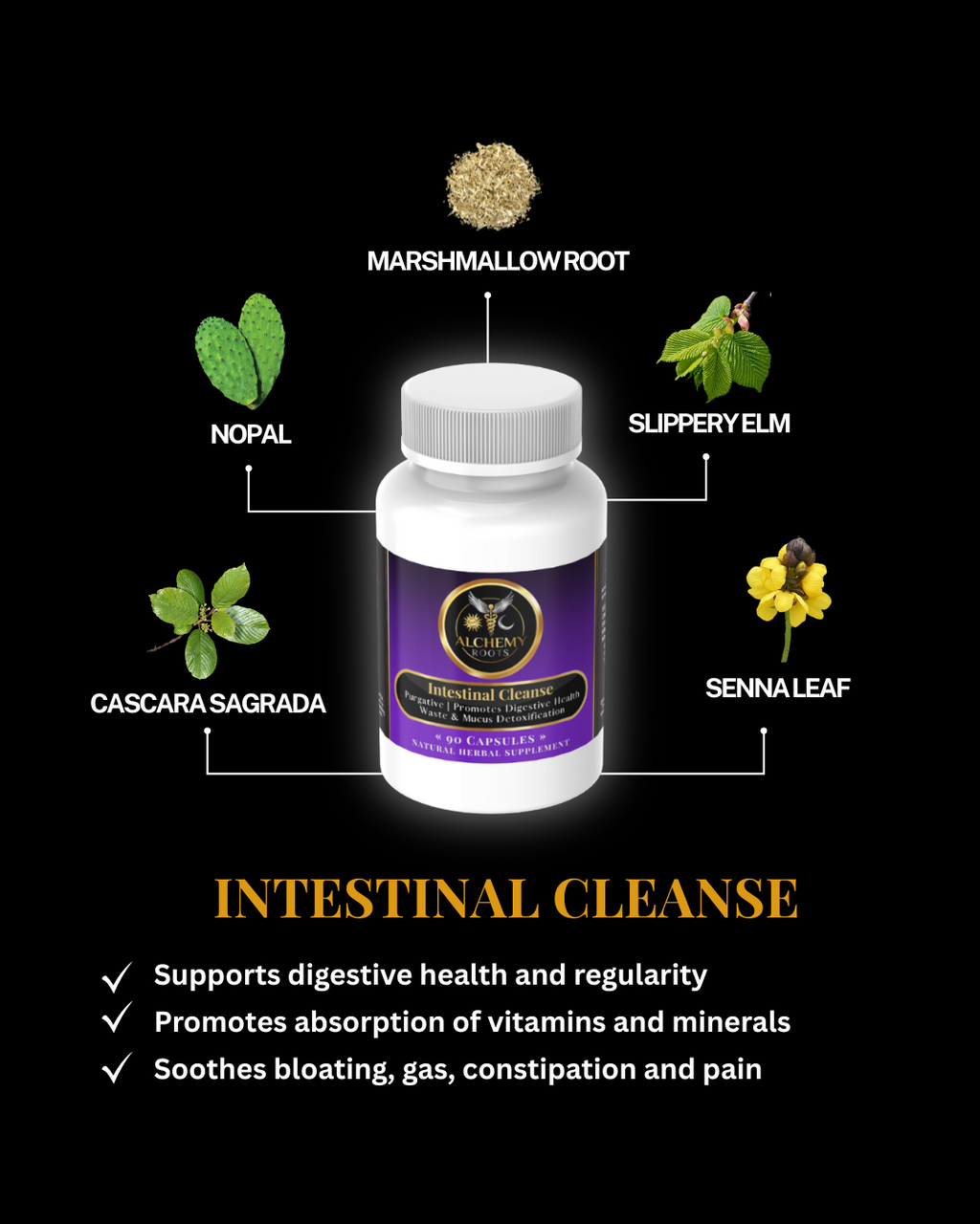 Complete Parasite Detox Protocol