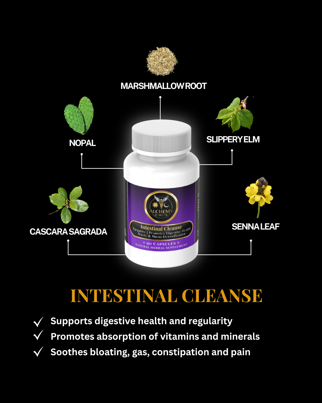 Intestinal Cleanse Formula