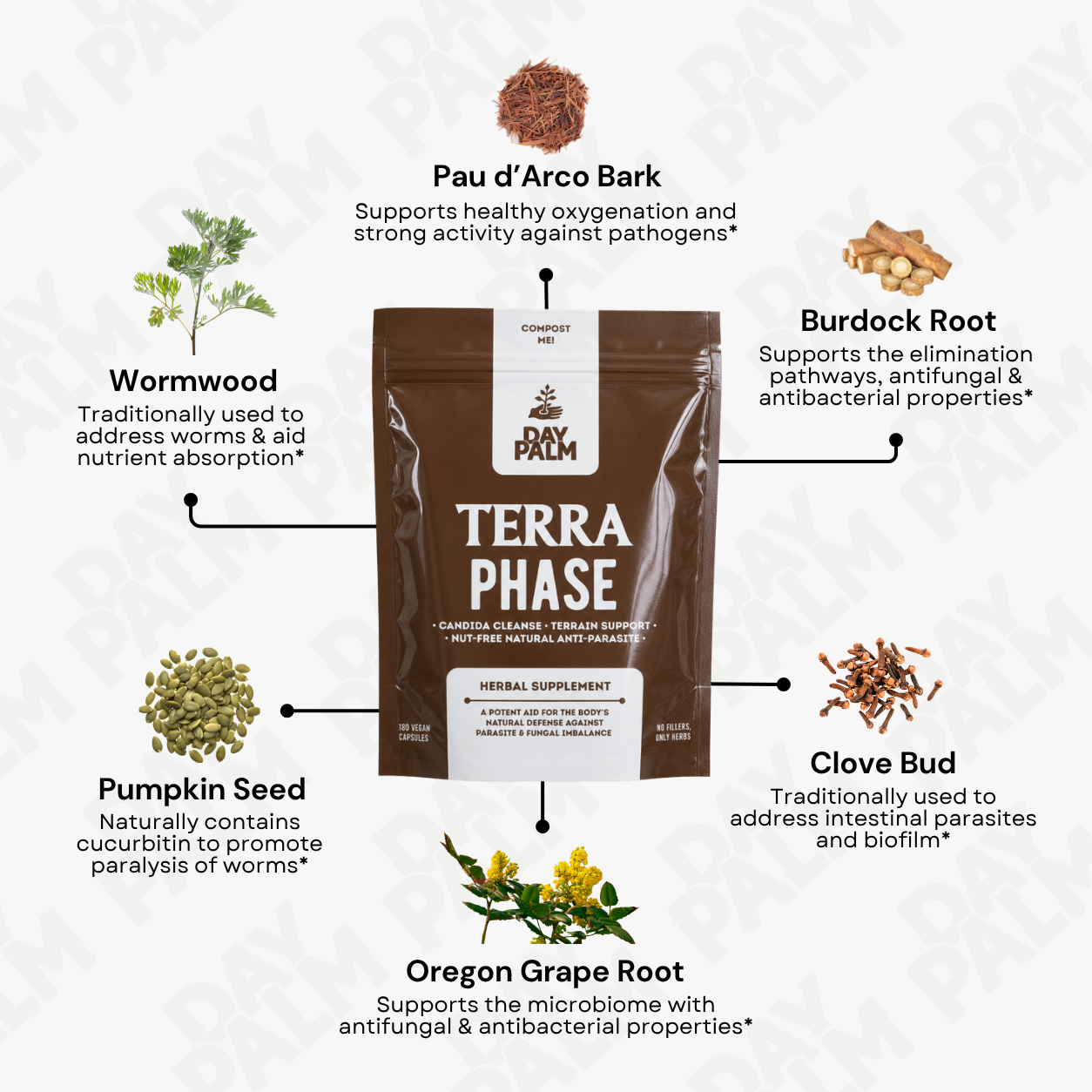 Terra Phase