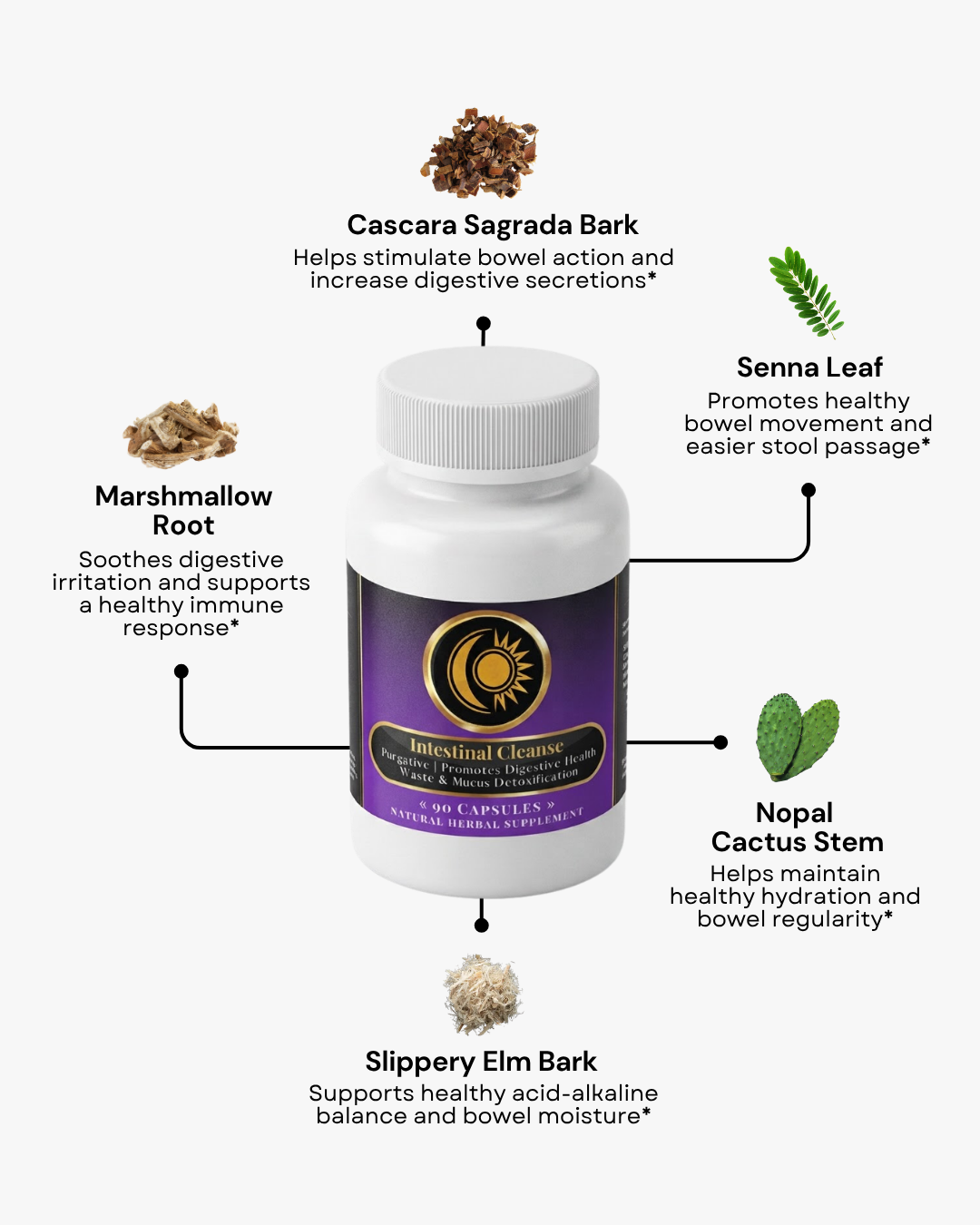 Intestinal Cleanse
